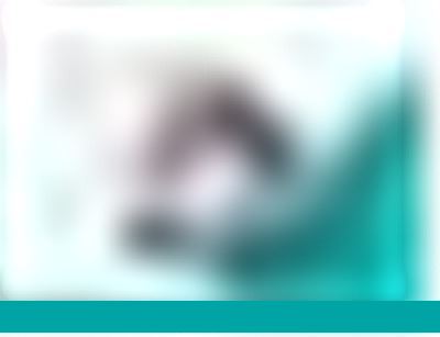 上裝式不銹鋼法蘭球閥